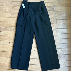Aritzia Babaton Cargo slacks